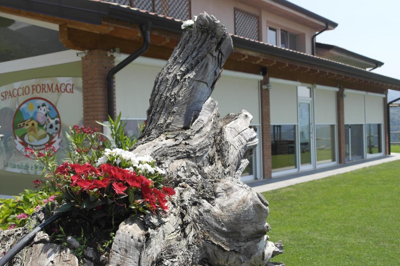 Agriturismo Fattoria Monte Baldo Vista Lago Каприно-Веронезе Экстерьер фото